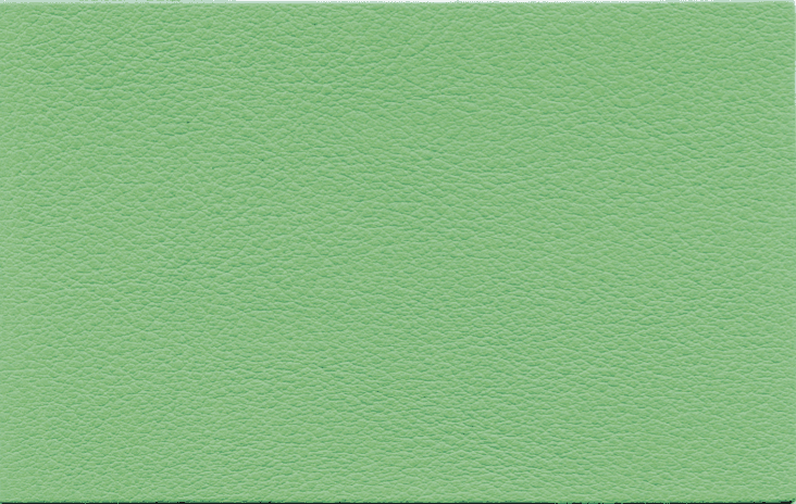 Magnolia leather interiors by Gruppo Dani