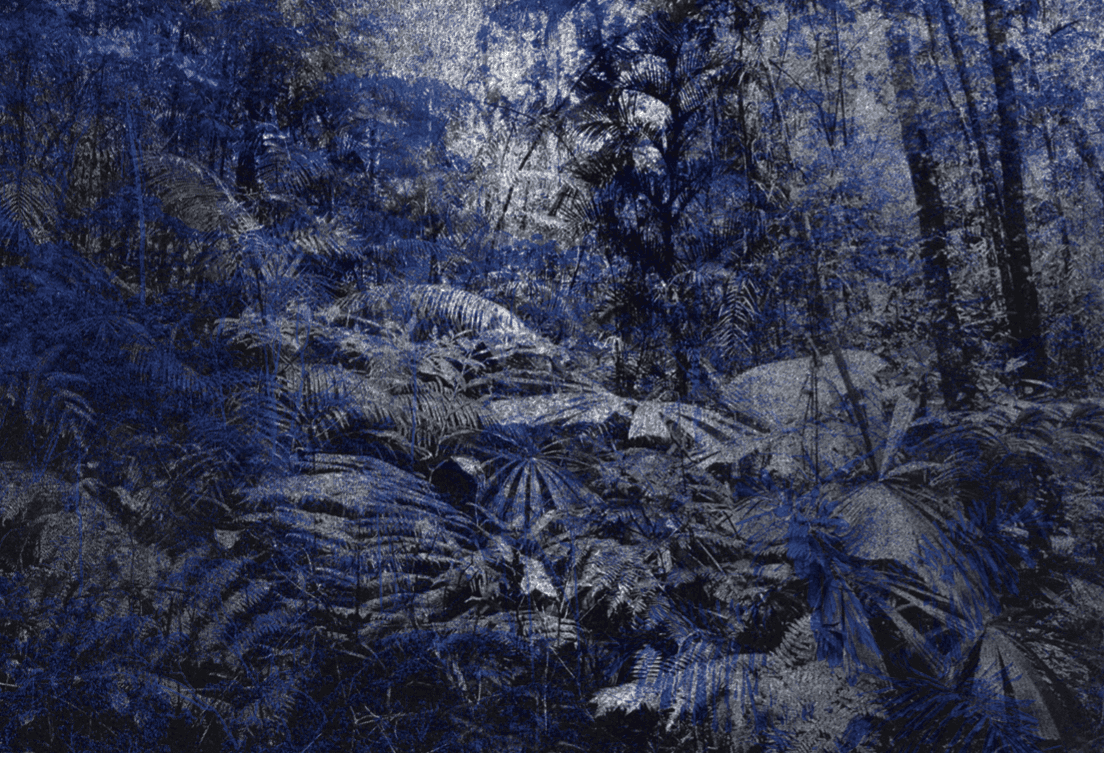 Jungle luxury wallcoverings by Texturae