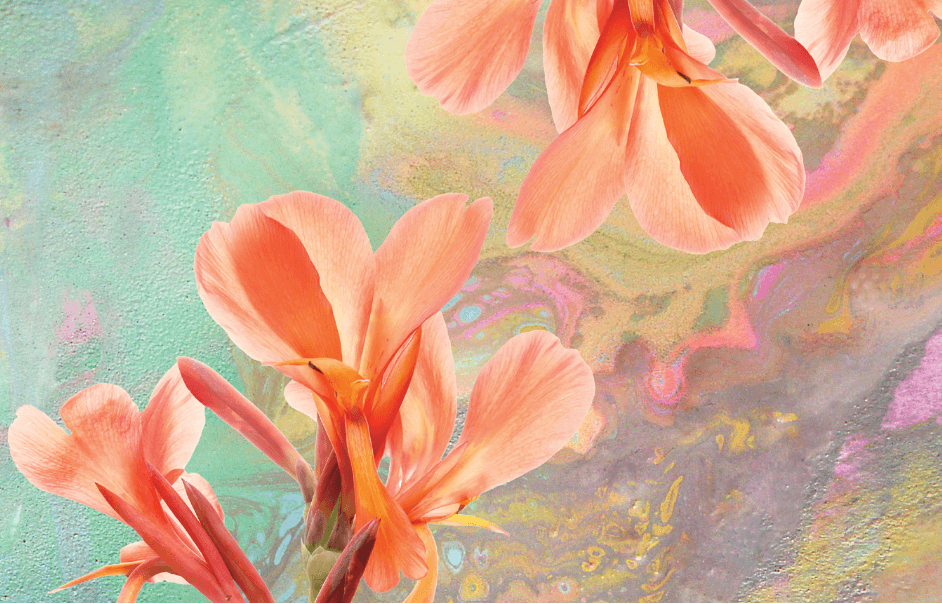 bespoke wallpaper: Lucid Botany III by Texturae in Saudi Arabia & Switzerland